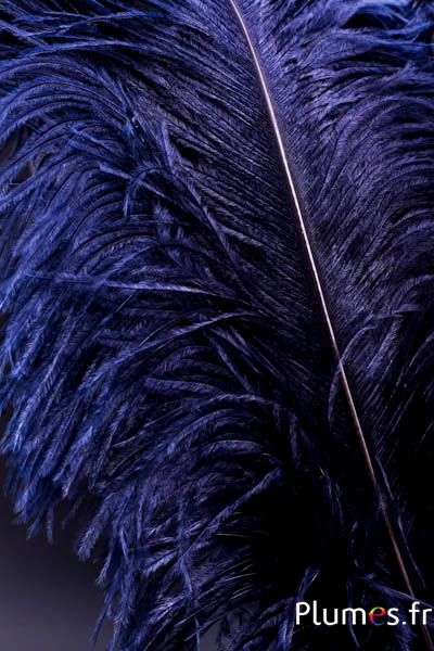 Autruche premium - 50-60 cm - noir
